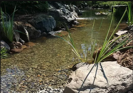 Pond Evaporation